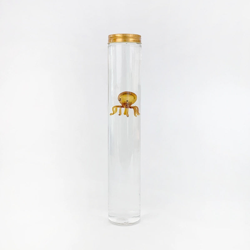 Glass Jellyfish Diver